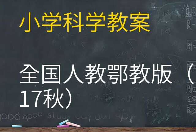 科学教案